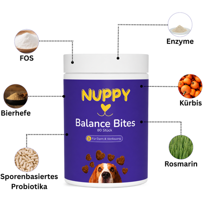 Balance Bites